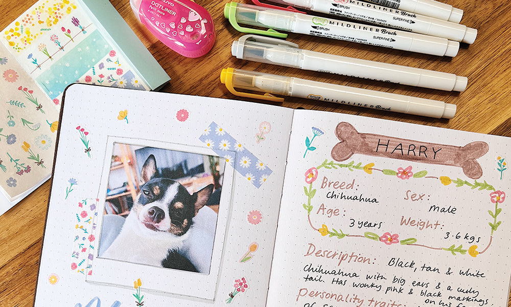 How to Keep a Pet Journal! Create a Journal for your Cat or Dog!