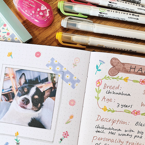 How to Keep a Pet Journal! Create a Journal for your Cat or Dog!