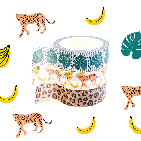 WashiGang News: January