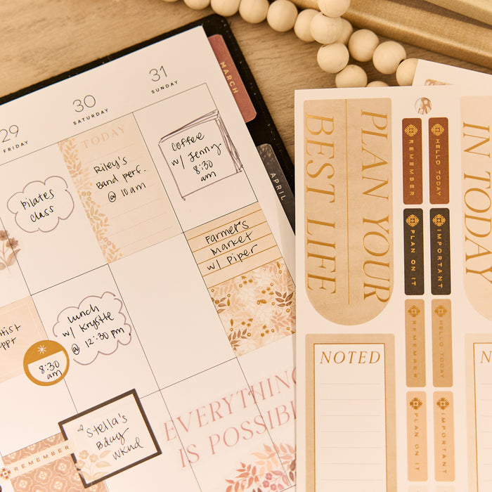 The Happy Planner CLASSIC Value Pack Stickers - Neutral Noir - 30 Sheets