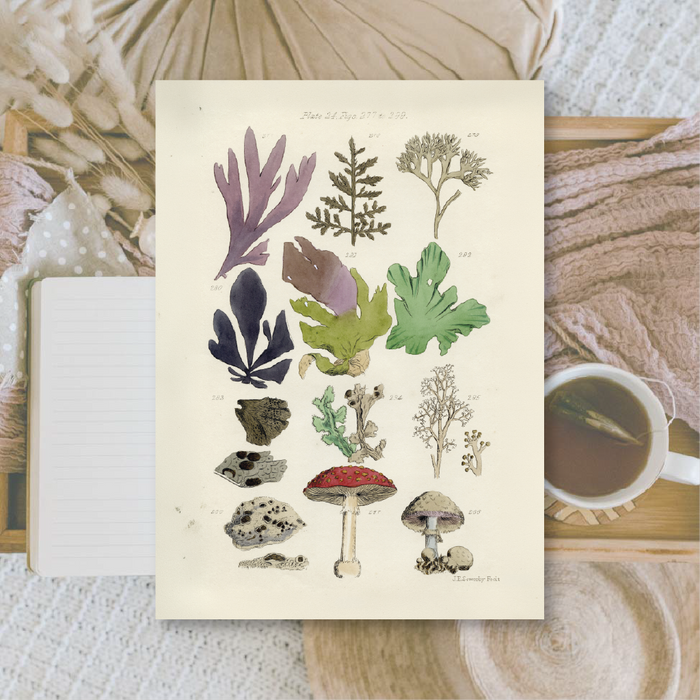 Botanicals II A6 Scrapbook Paper Pack