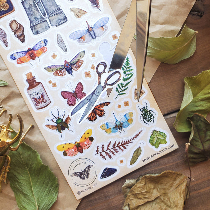 Wings & Wonders Sticker Sheet