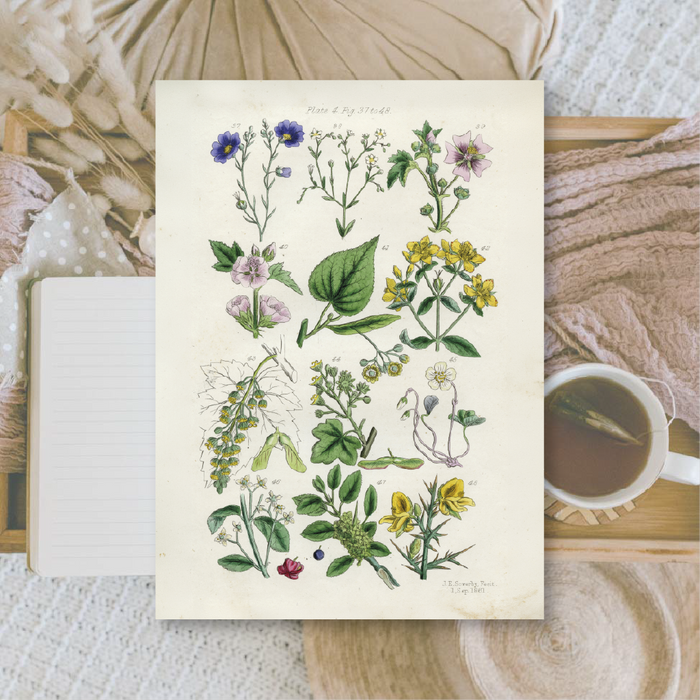 Botanicals II A6 Scrapbook Paper Pack