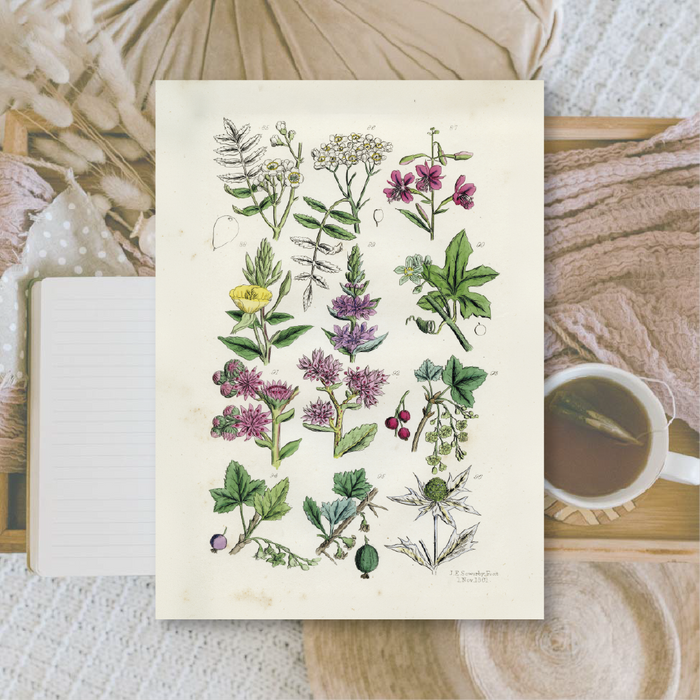 Botanicals II A6 Scrapbook Paper Pack