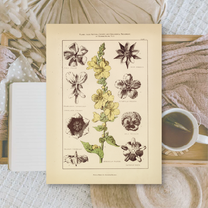 Botanicals II A6 Scrapbook Paper Pack