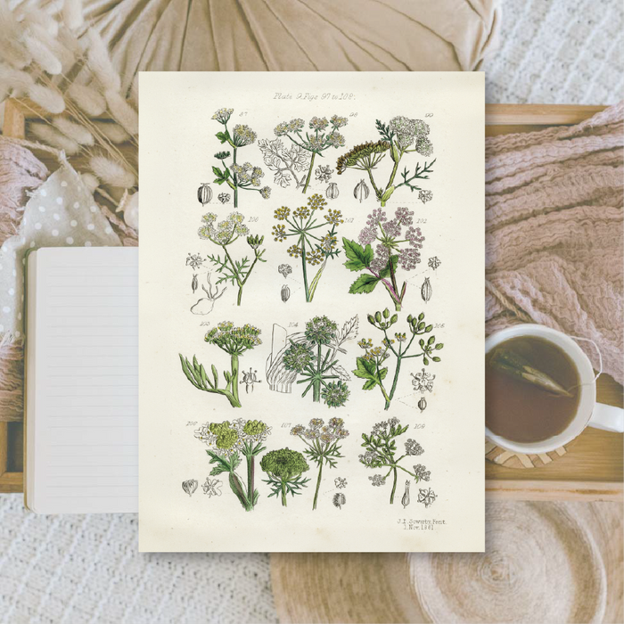 Botanicals II A6 Scrapbook Paper Pack