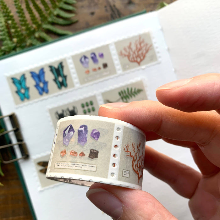 Specimen Drawer Stamp Washi Tape