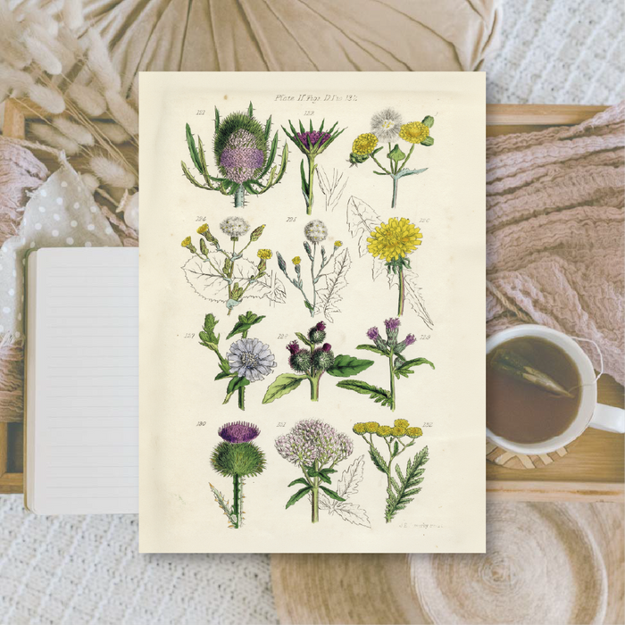 Botanicals II A6 Scrapbook Paper Pack