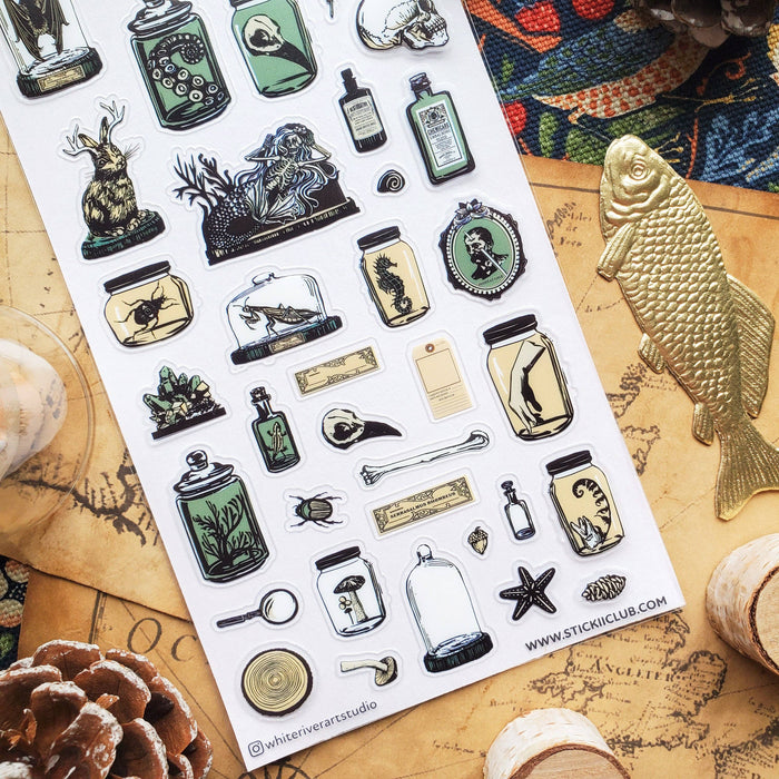 Curious Specimens Sticker Sheet