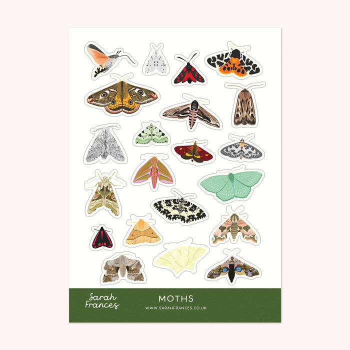 British Moths Sticker Sheet