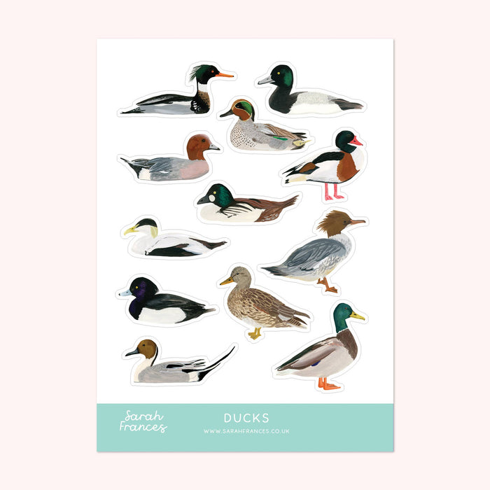 British Duck Sticker Sheet