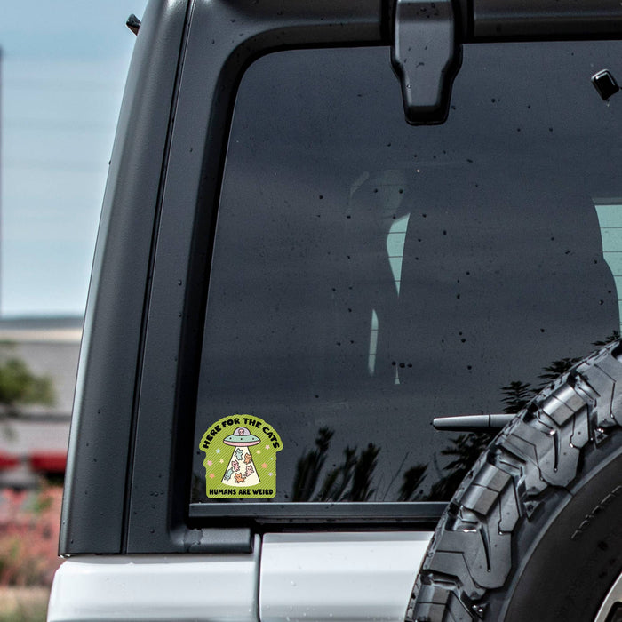 Here For The Cats Vinyl Sticker