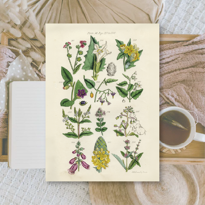 Botanicals II A6 Scrapbook Paper Pack