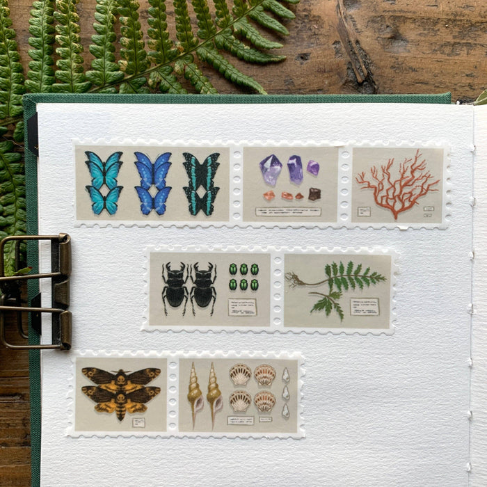 Specimen Drawer Stamp Washi Tape