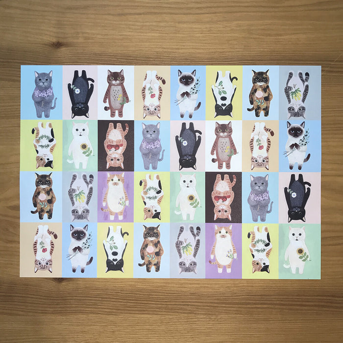A4 Paper Pack - Cats (30 Sheets)