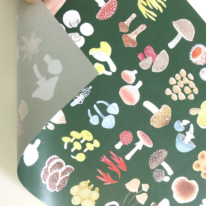 A4 Paper Pack - Book of Mushrooms (30 Sheets)