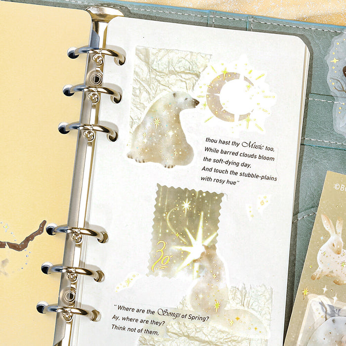 BGM 'Stardust Magic' Clear Deco Stickers - Moon