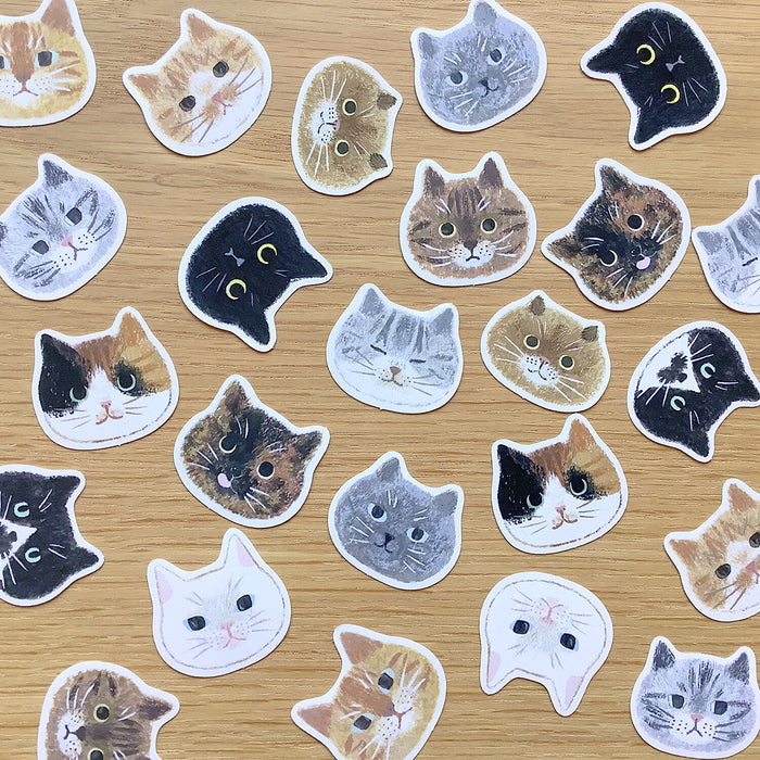 Cat Face Stickers