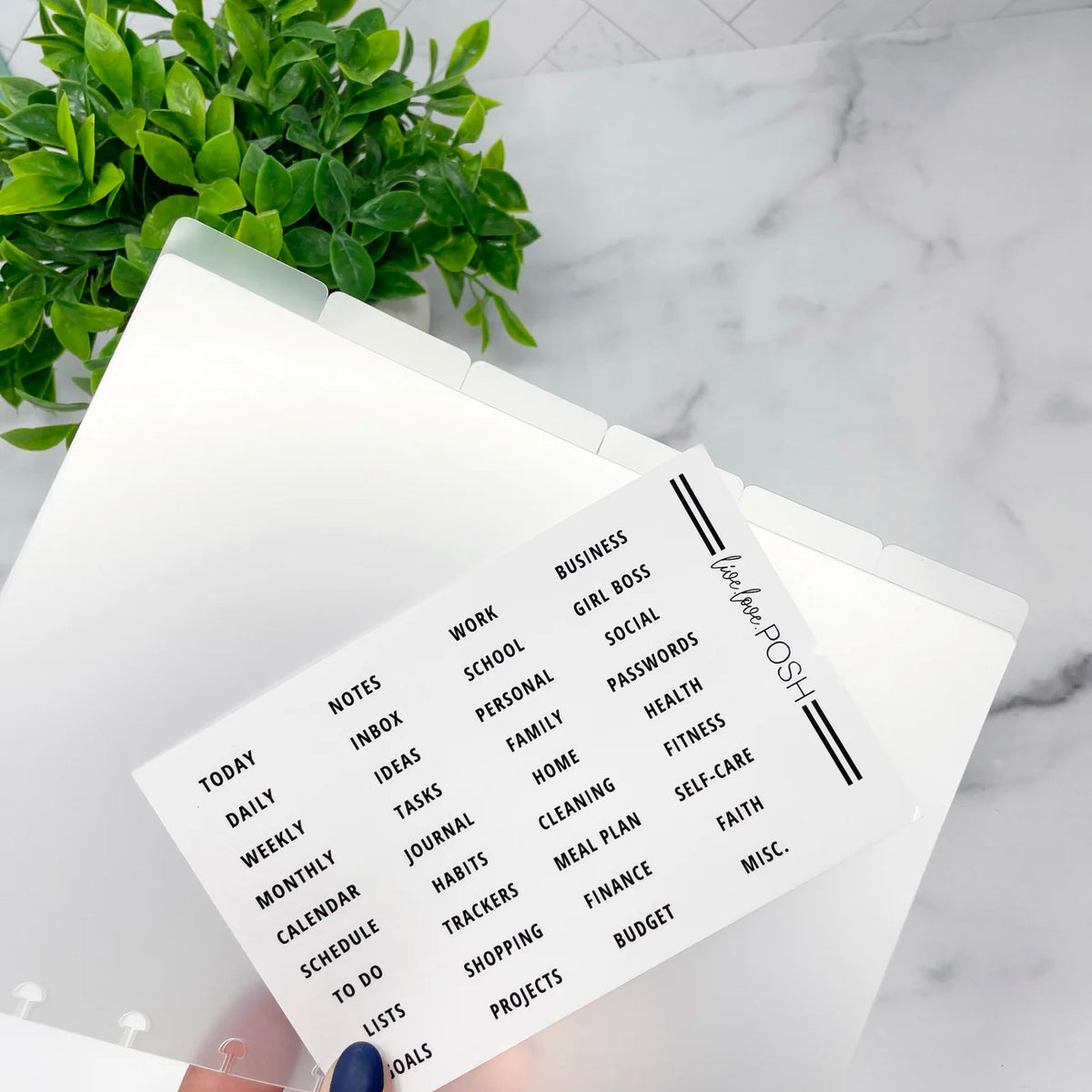 Live Love Posh Luxe Divider Set With Labels Fits CLASSIC Happy