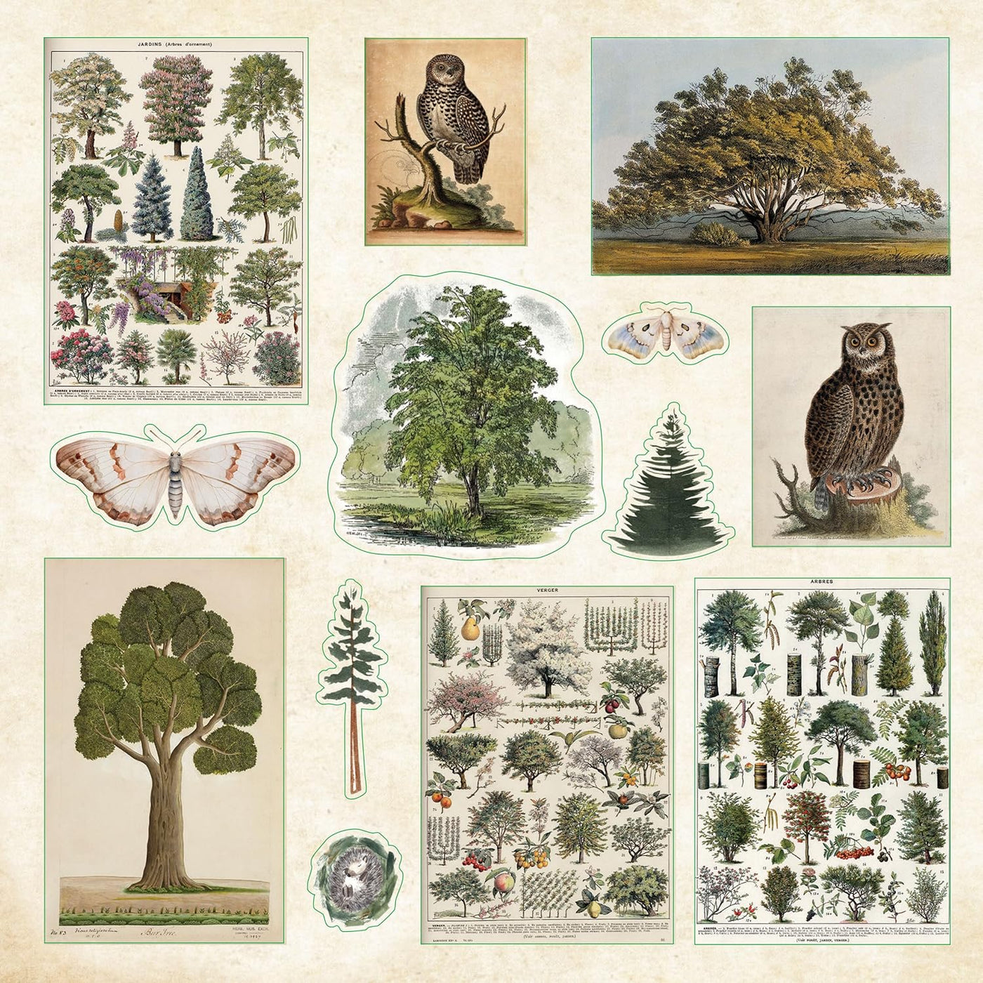 Enchanted Forest Sticker Book - Over 800 Stickers! — WashiGang
