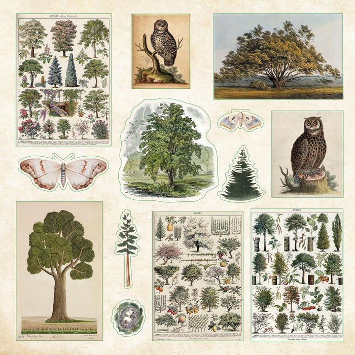 Enchanted Forest Sticker Book - Over 800 Stickers!