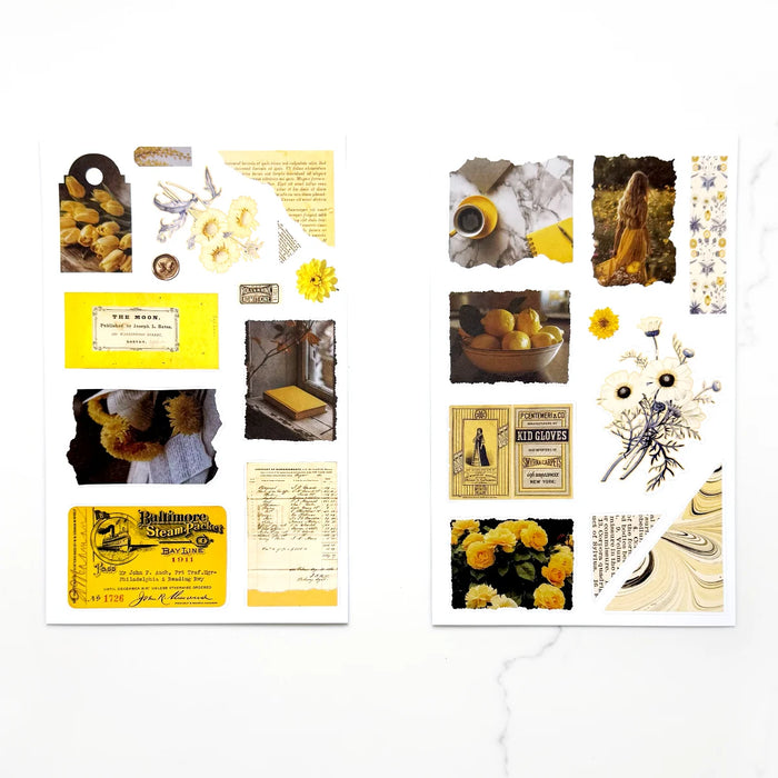 Rainbow Ephemera Deluxe Sticker Book