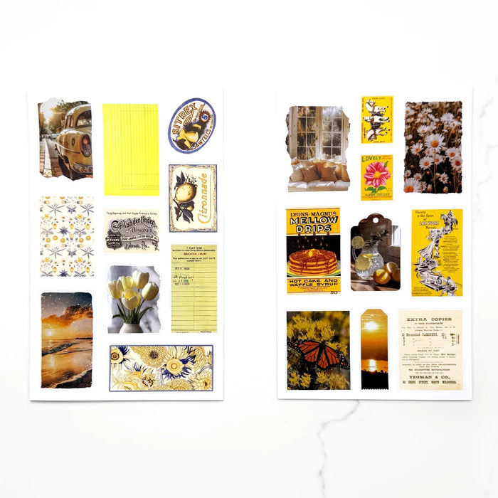 Rainbow Ephemera Deluxe Sticker Book