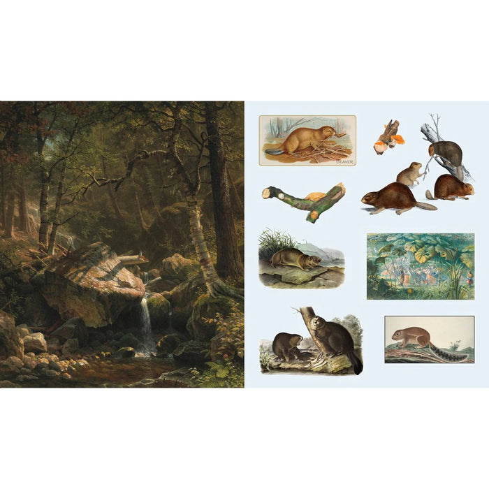 The Sticker Treasury of Woodland Adventures