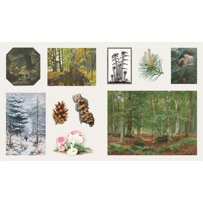 The Sticker Treasury of Woodland Adventures