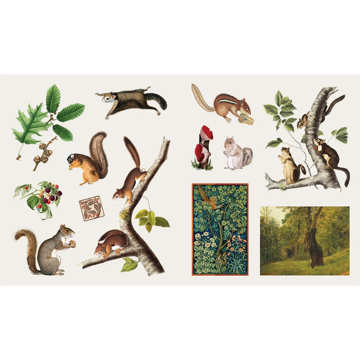 The Sticker Treasury of Woodland Adventures