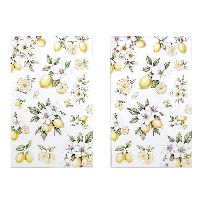 Summer Edit Deluxe Sticker Book