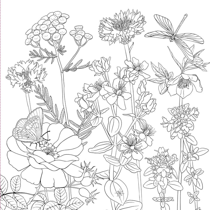 Wildflowers Artist's Colouring Book