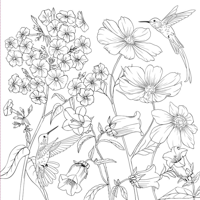 Wildflowers Artist's Colouring Book