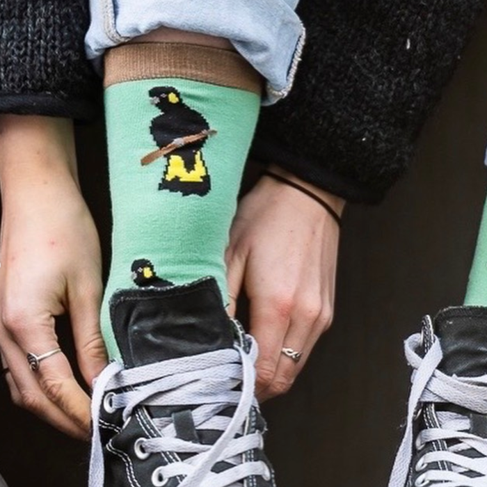 Yellow-Tailed Black Cockatoo Socks