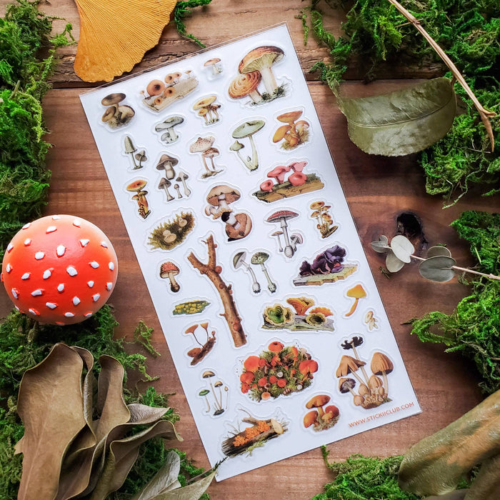 World of Fungi Sticker Sheet