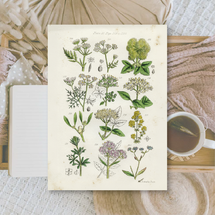 Botanicals II A6 Scrapbook Paper Pack