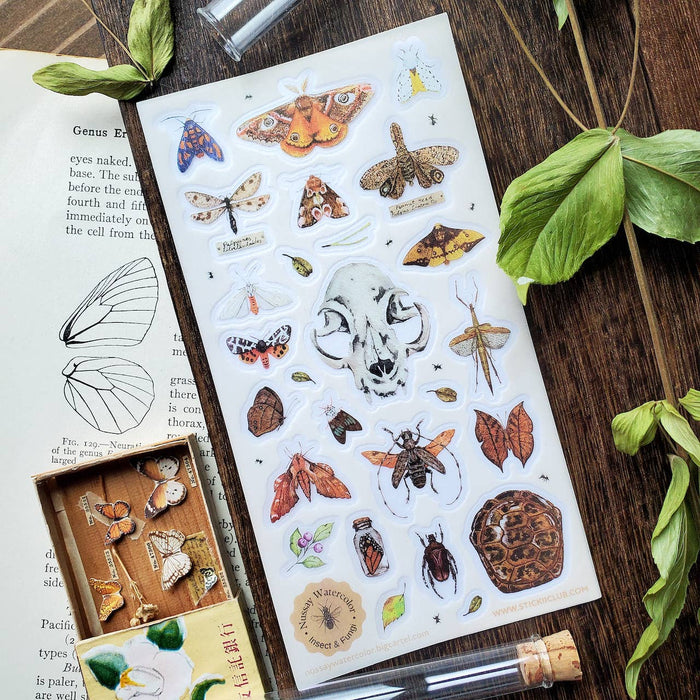 Nature Study Sticker Sheet