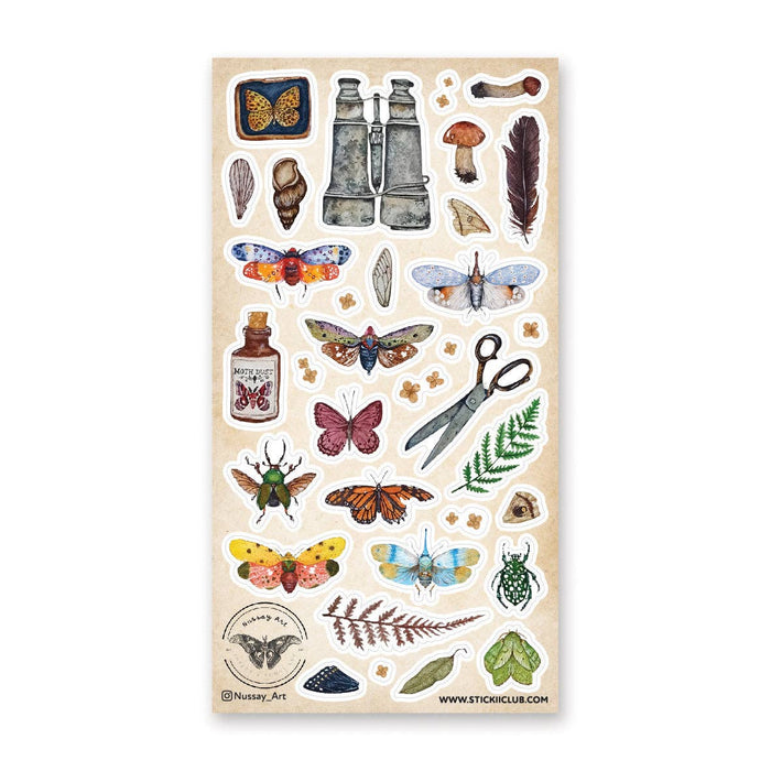 Wings & Wonders Sticker Sheet