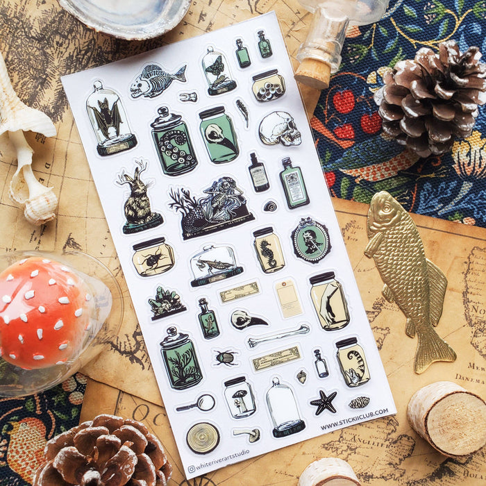 Curious Specimens Sticker Sheet