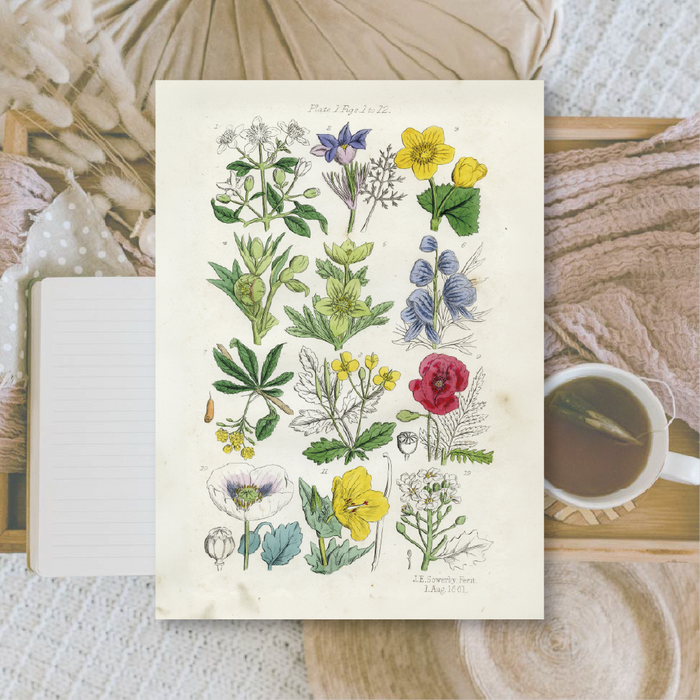 Botanicals II A6 Scrapbook Paper Pack