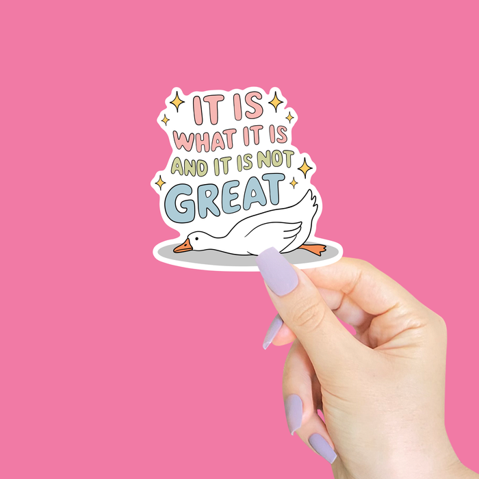 It Is What It Is Vinyl Sticker