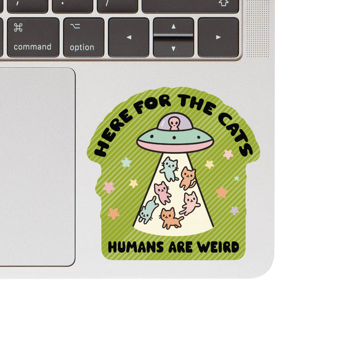 Here For The Cats Vinyl Sticker