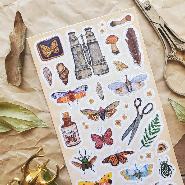 Wings & Wonders Sticker Sheet