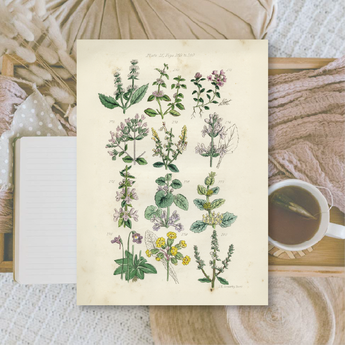 Botanicals II A6 Scrapbook Paper Pack
