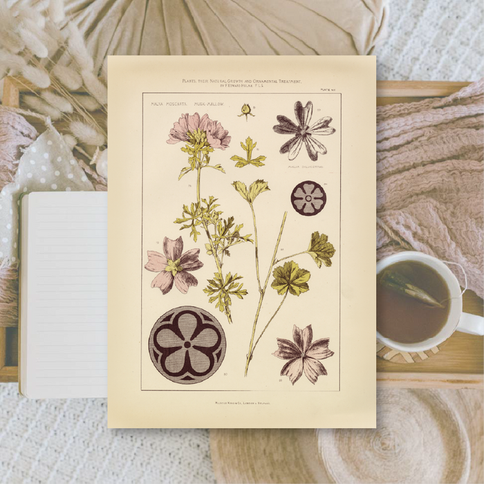 Botanicals II A6 Scrapbook Paper Pack