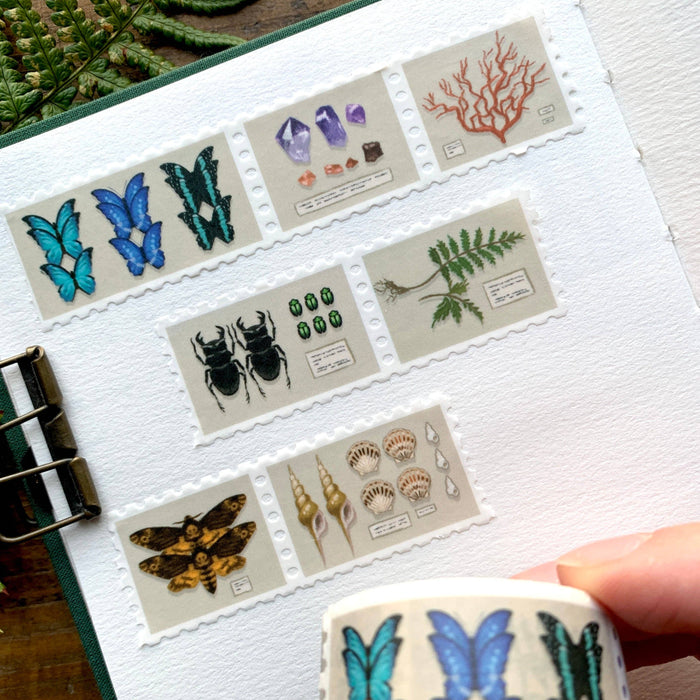 Specimen Drawer Stamp Washi Tape