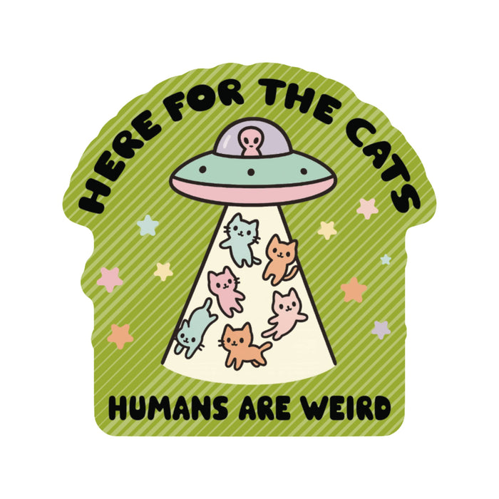 Here For The Cats Vinyl Sticker