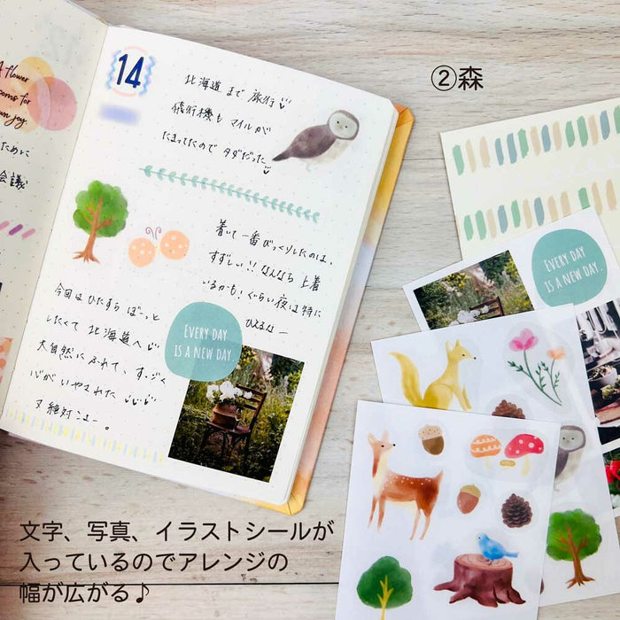 Deco Stickers Assorted Set - Forest
