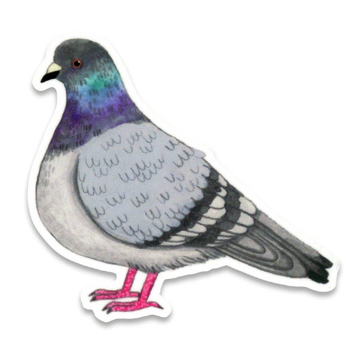 Pigeon Vinyl Sticker