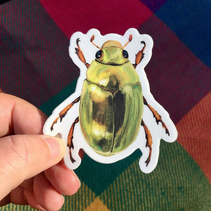 Christmas Beetle Vinyl Sticker